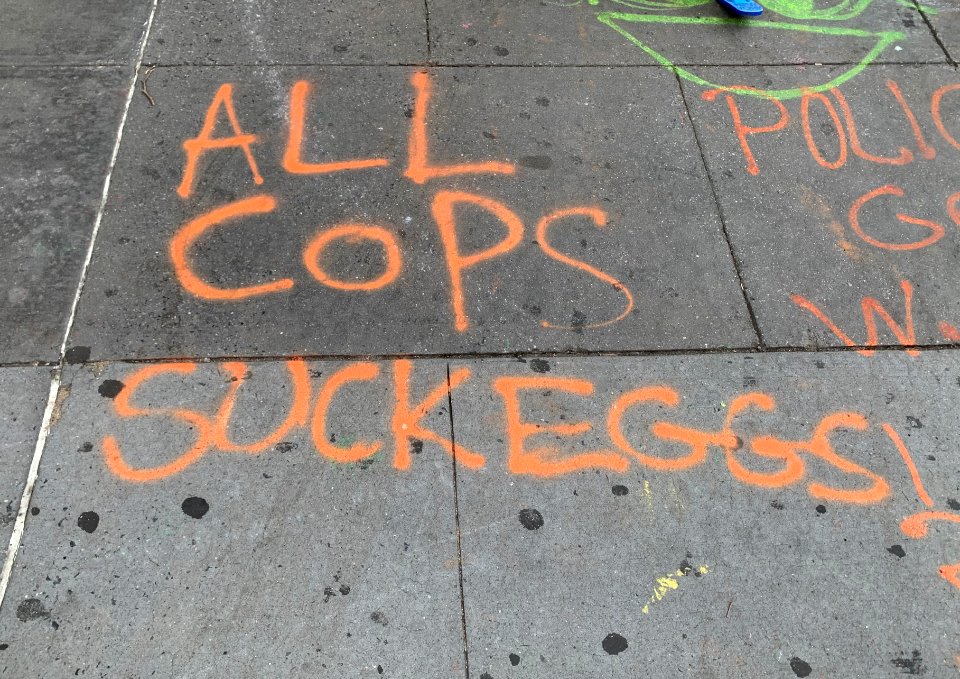 All Cops Suck Eggs