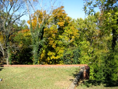 IMG 0575
