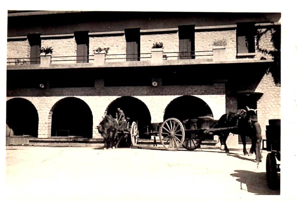 Cave coopérative 1953