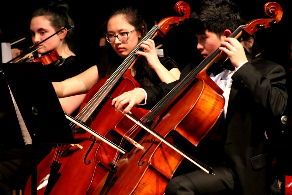 2 Cellos