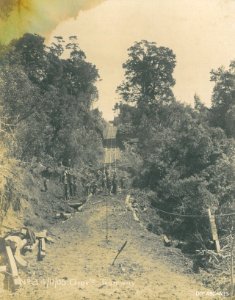Laying Rails for Gravitation Tramway  - Waipori 1905