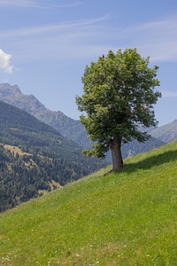 Nature landscape austria photo