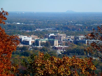 P1010195