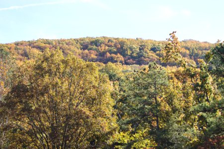 DSC00386