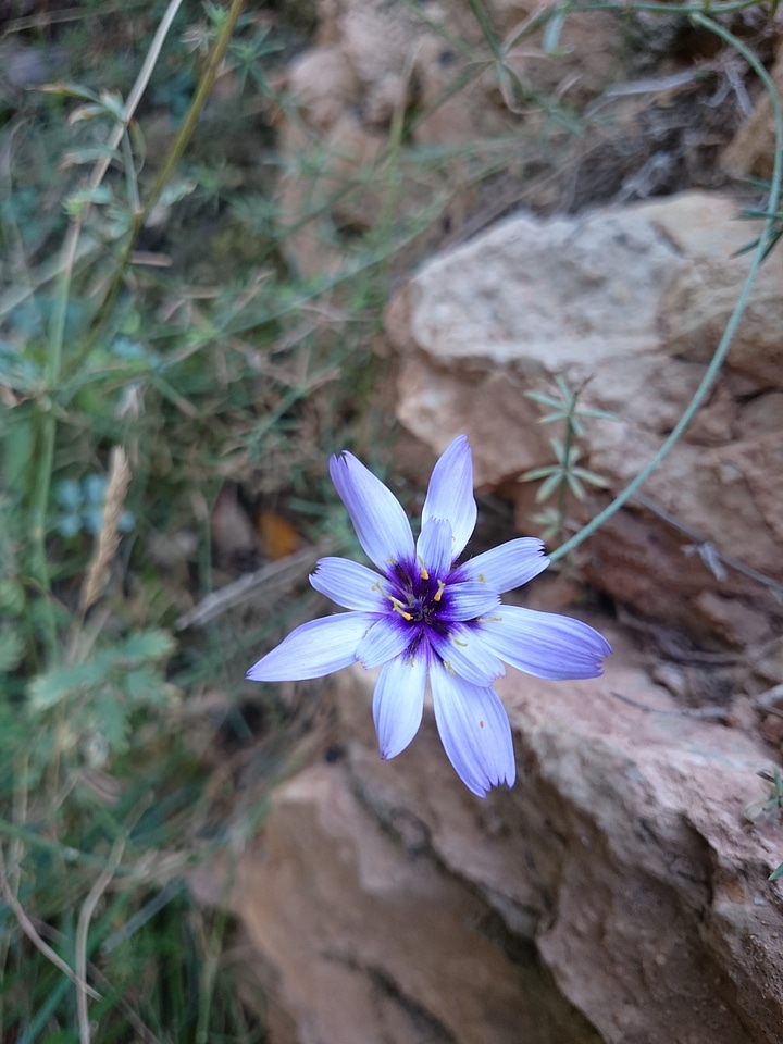 Rock white blue photo