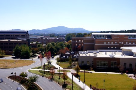 Day 295 - First View of the campus with the new camera.