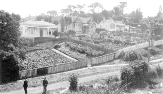 15, 16, 17 Lawson Street 1928