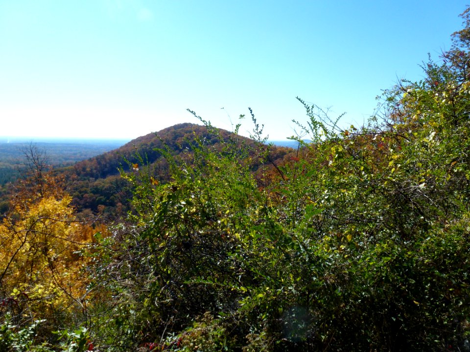 P1010258