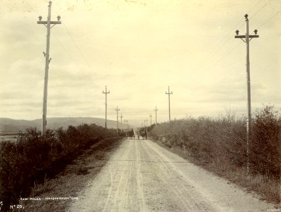 ROW Poles Transmission Line c1910