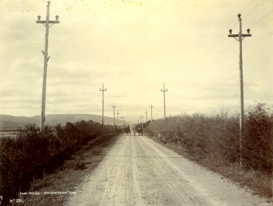 ROW Poles Transmission Line c1910 photo