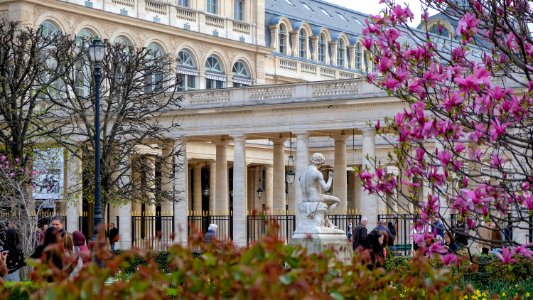 Palais Royal photo