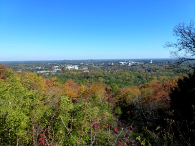 P1010269