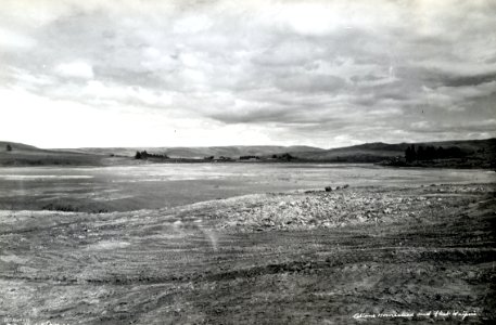 Cottons Homestead and Flat, Waipori 1944
