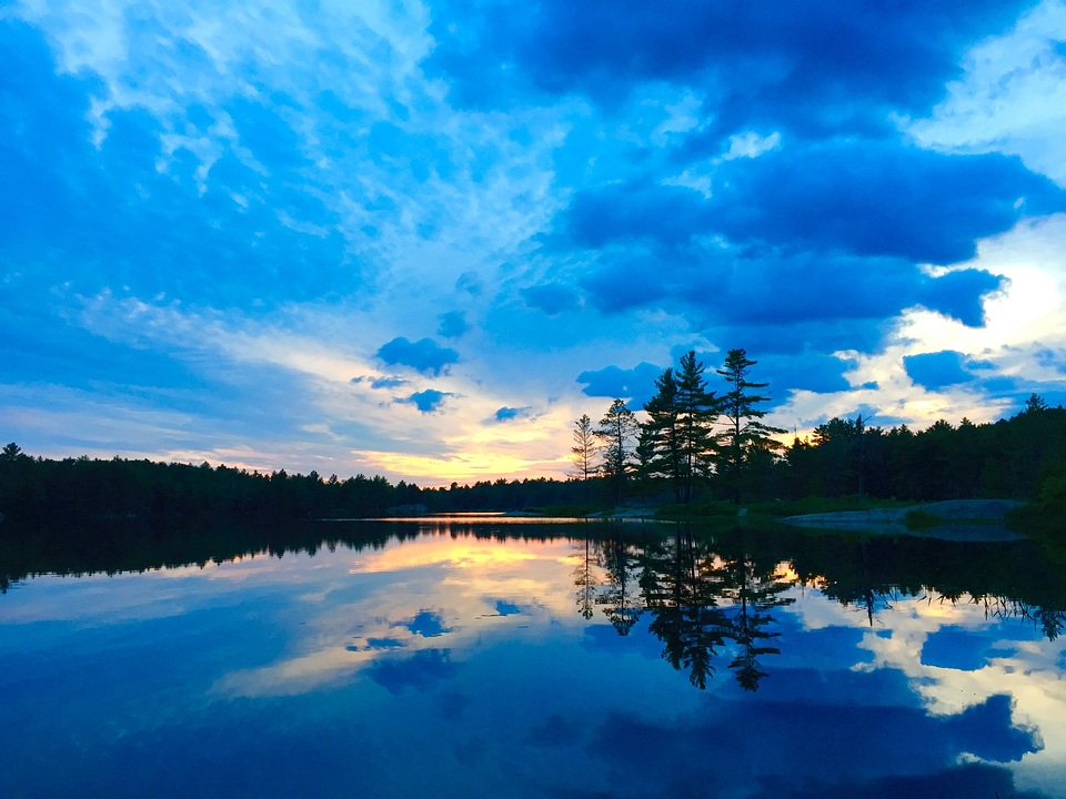 Glassy water trees