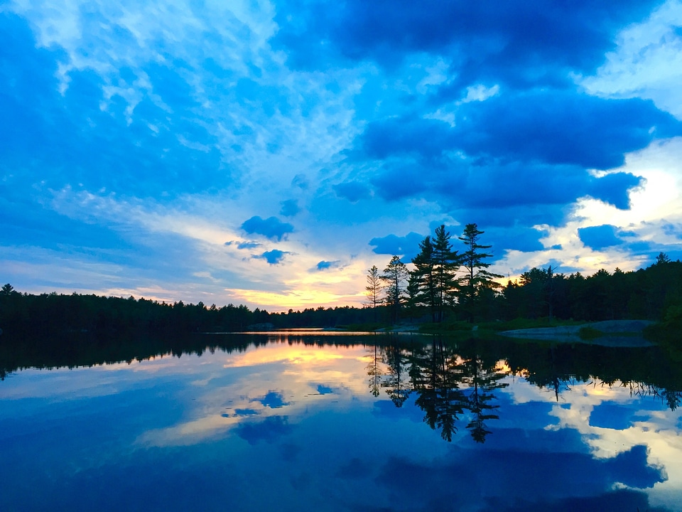 Glassy water trees photo