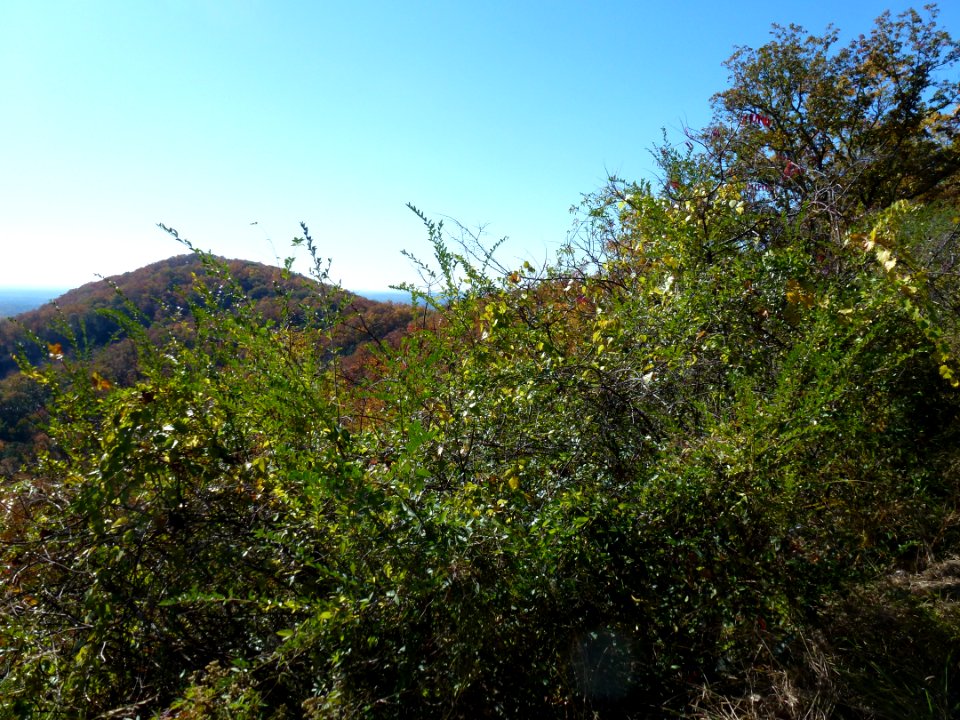 P1010259