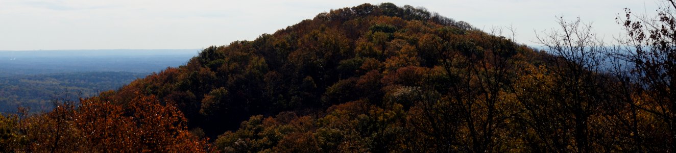 DSC00435