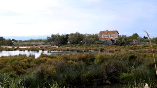 Parc Ornithologique du Pont De Gau