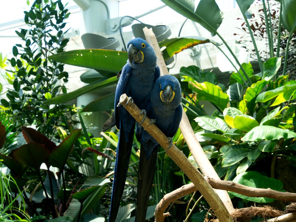 P5140137