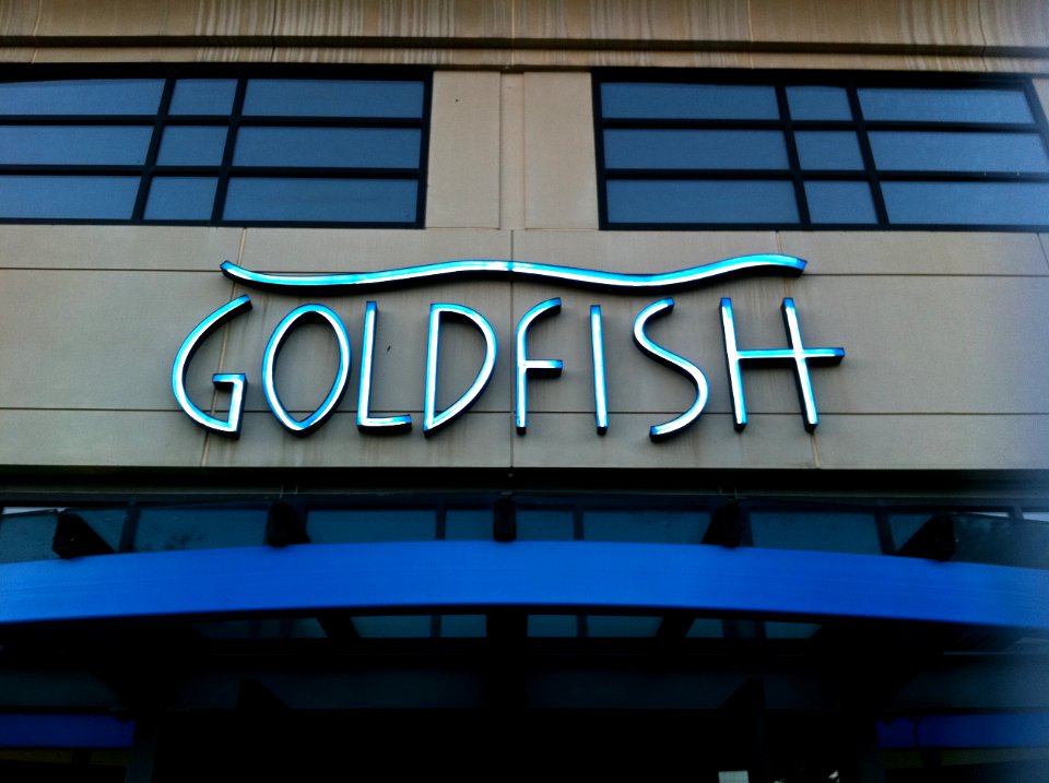 Day 291 - Goldfish Restaurant