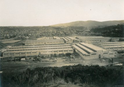 Construction of the New Zealand & South Seas Exhibition, Logan Park 1924-1925