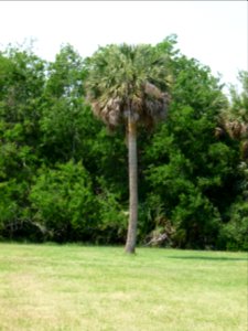 P1000283