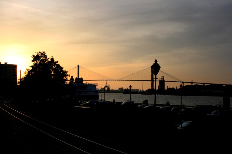 IMG 0515