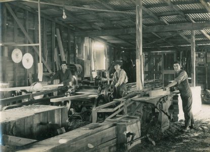 Workers on the New Zealand & South Seas Exhibition Site 1924