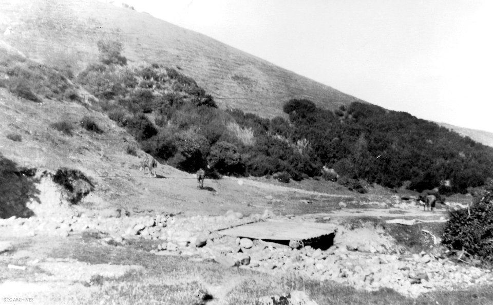 Bethune's Gully, April 1929