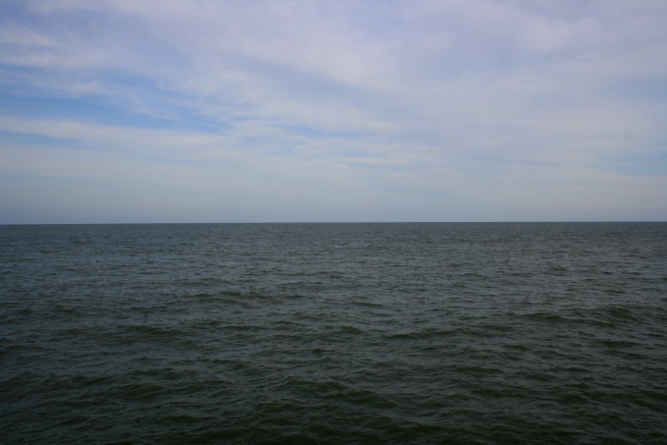 IMG 0479