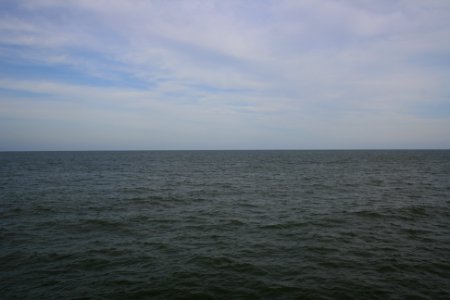 IMG 0479