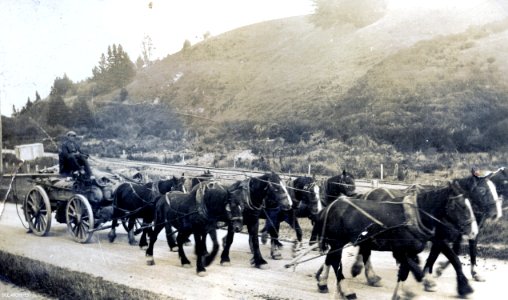 Horse Transport, Lawrence to Waipori