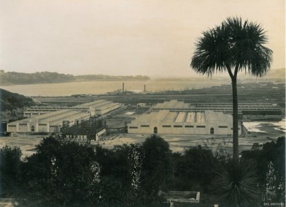 View towards harbour of nearly completed New Zealand South Seas Exhibition buildings 1924