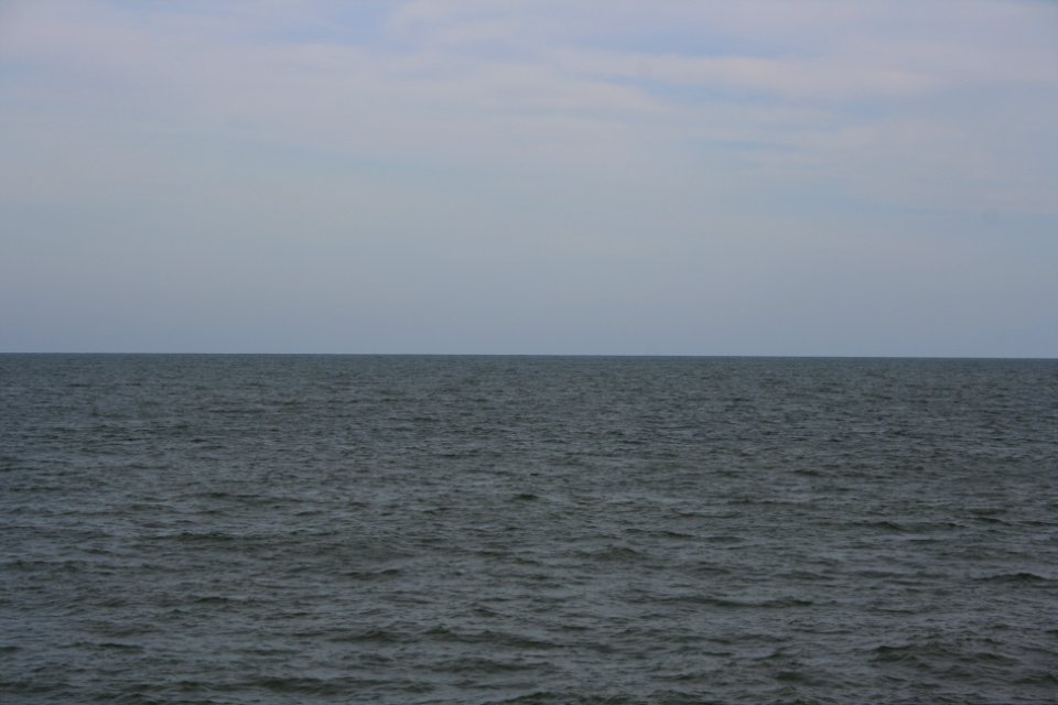IMG 0480