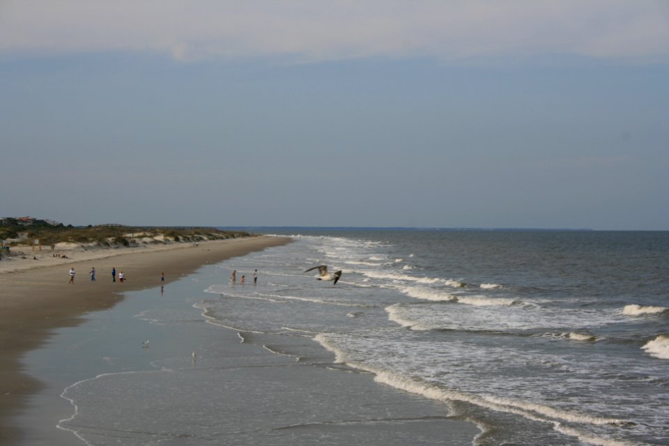 IMG 0471