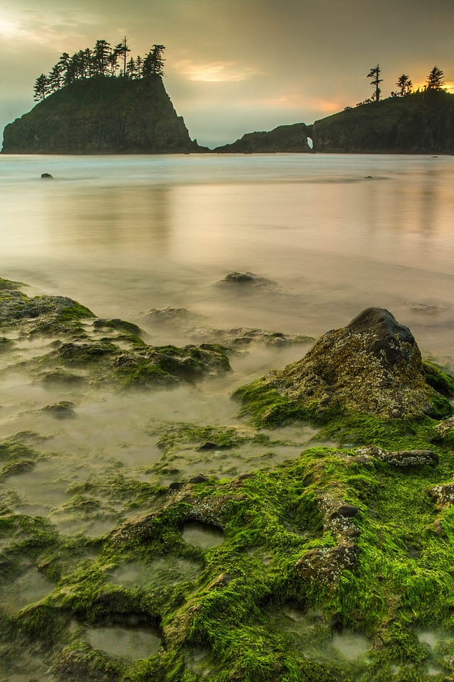 Ocean coast beach