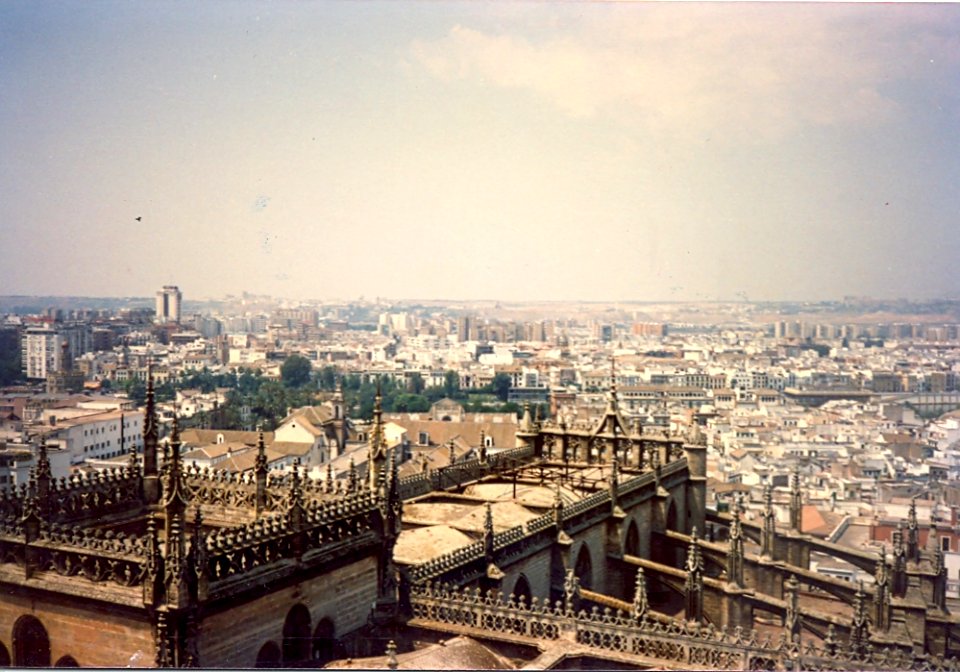 View of Seville from the Cathedral