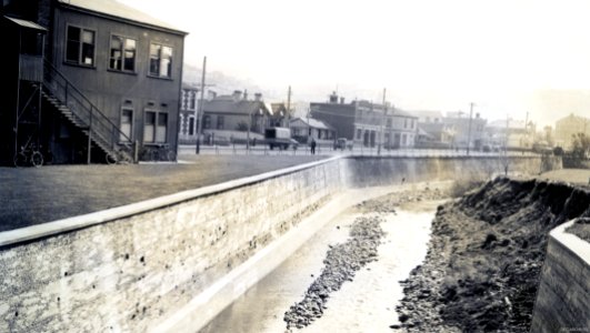 University Reserve showing right bank of Leith, 1936