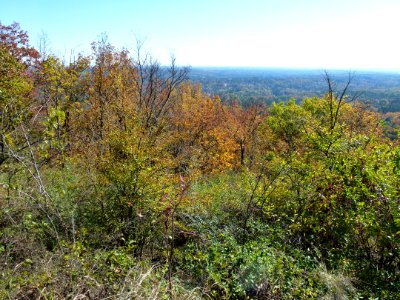 P1010263