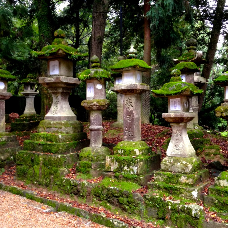 NaraKasugaShrineStoneLanterns