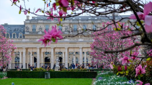 Palais Royal photo