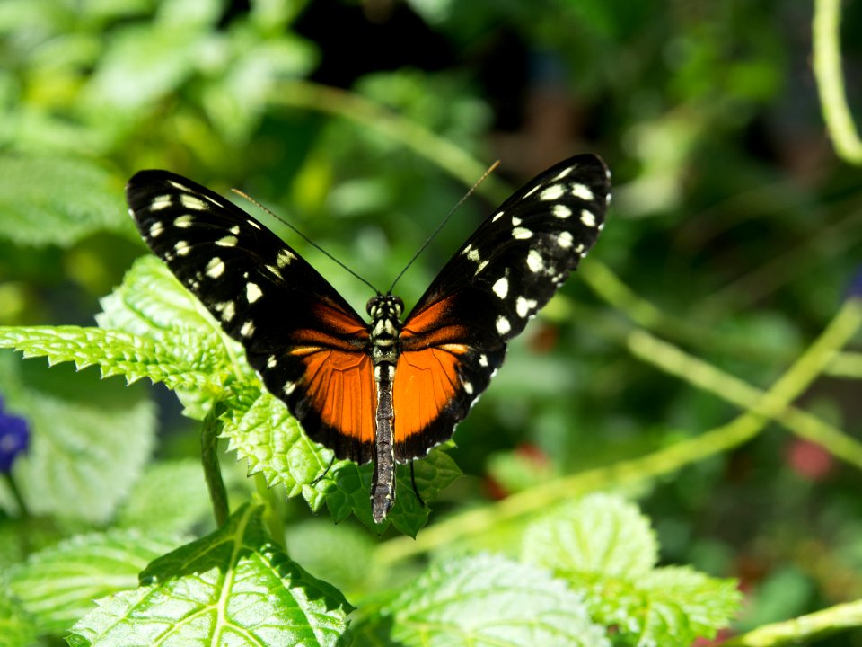 P5140150