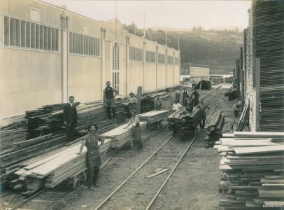 Workers on the New Zealand & South Seas Exhibition Site 1924