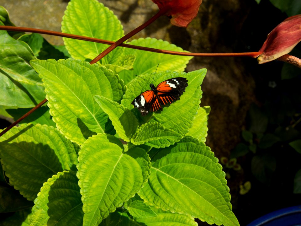 P5140280