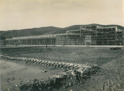 Construction of the New Zealand & South Seas Exhibition, Logan Park 1924-1925