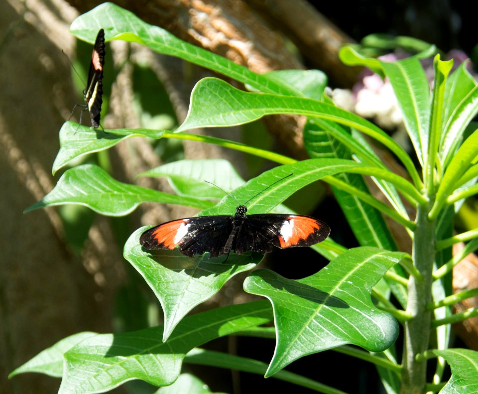 P5140281