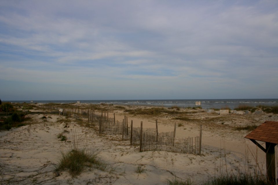 IMG 0493