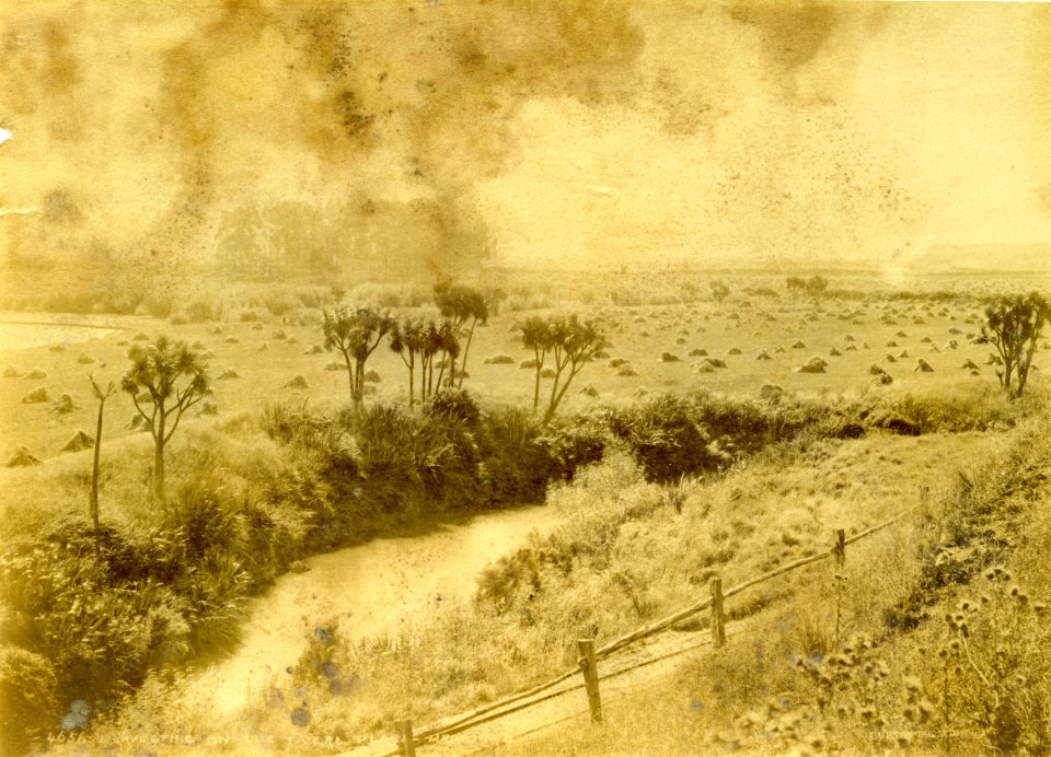 Mr Kirk’s farm, Taieri Plain