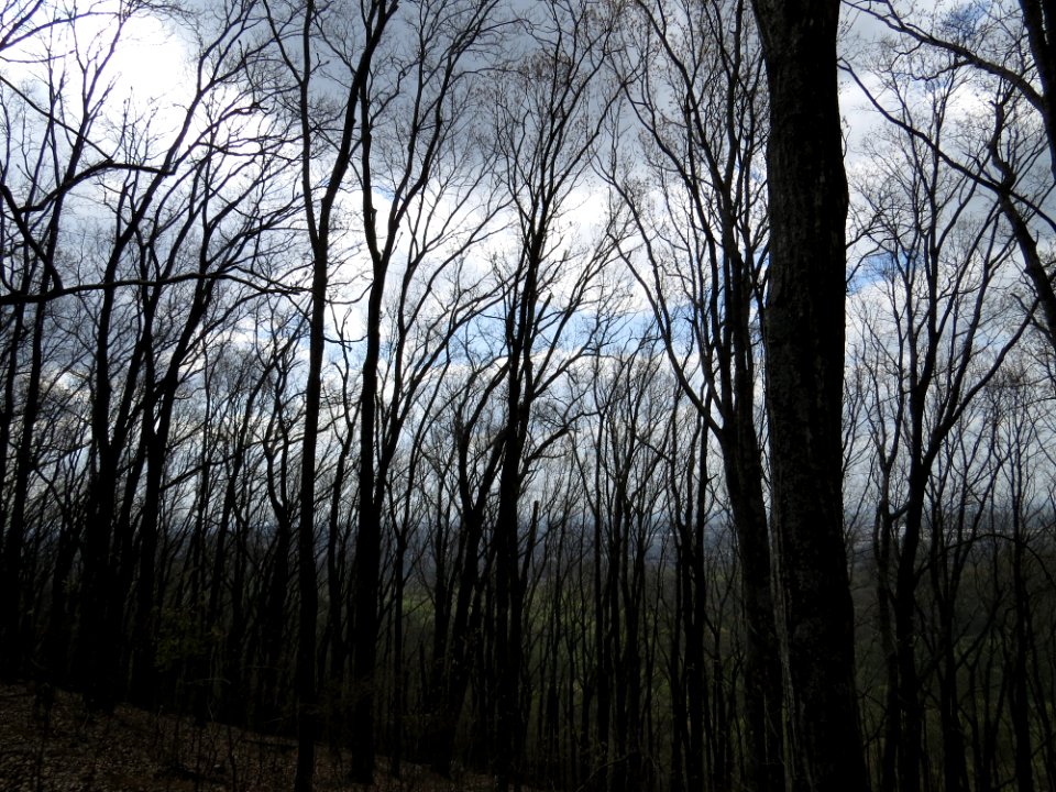 IMG 0068
