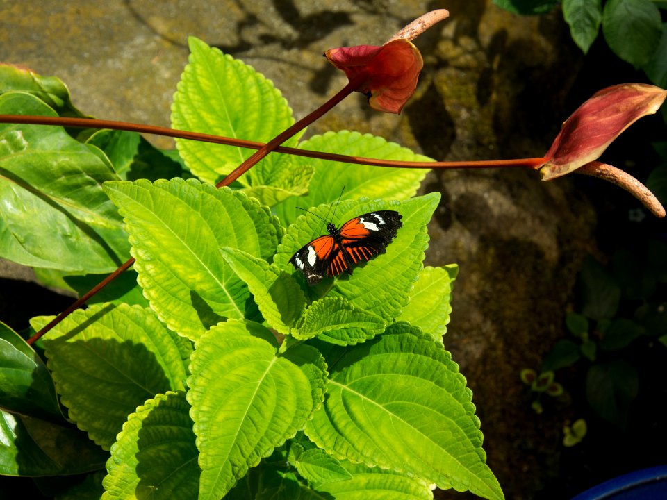 P5140279